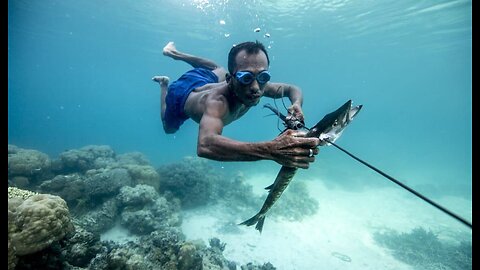 Underwater Divers Hunting for Food