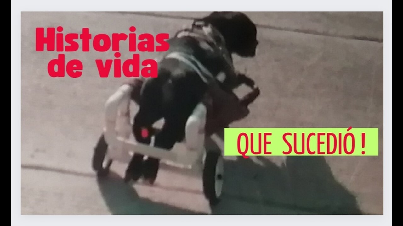 Qué fue en realidad lo que sucedió? Esta historia me inspiró !