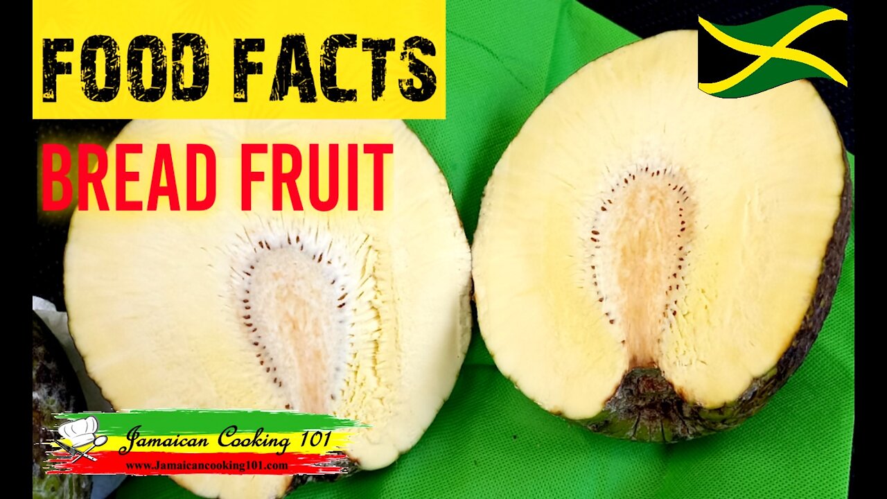 THE BREAD FRUIT (JAMAICAN FOOD FACTS )