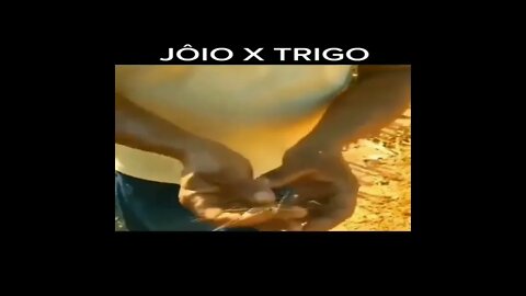 JÔIO X TRIGO 🙌