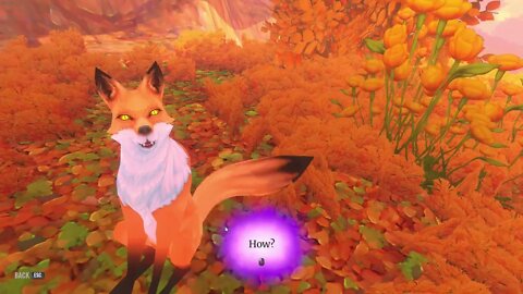 The Wild Eternal Pt.2-The Compass Is Crap