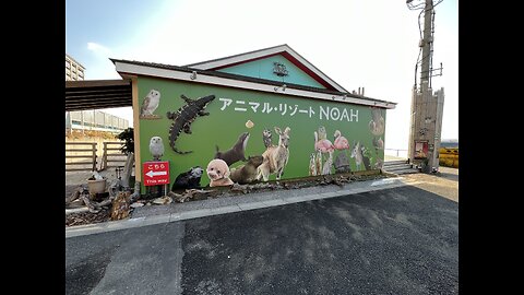 Noah Animal Resort