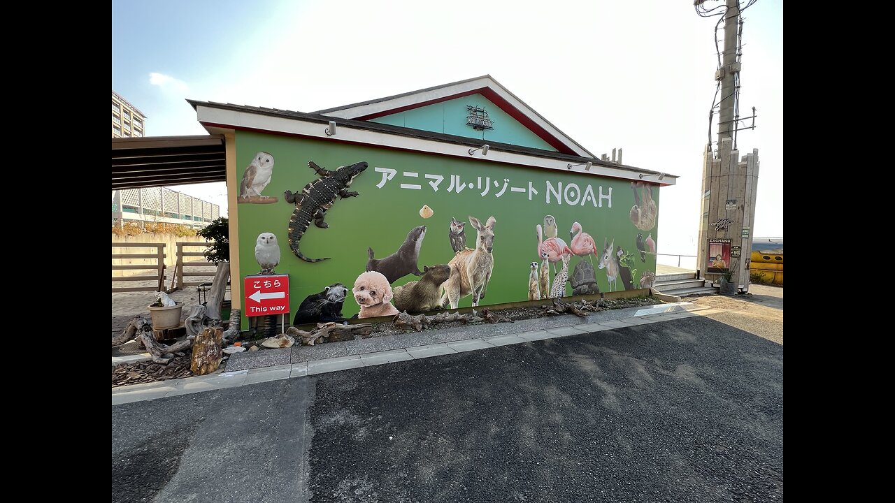 Noah Animal Resort