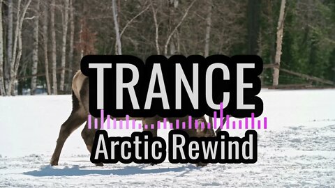 TRANCE - Arctic Rewind (Official Audio Video)