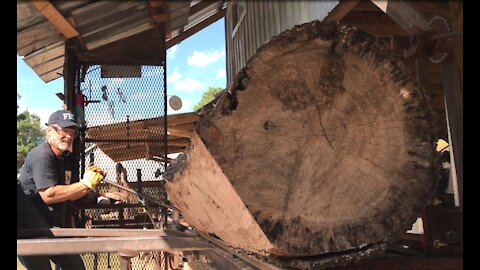 Sawing Spalted Red Oak For Very Old Farm Trailer