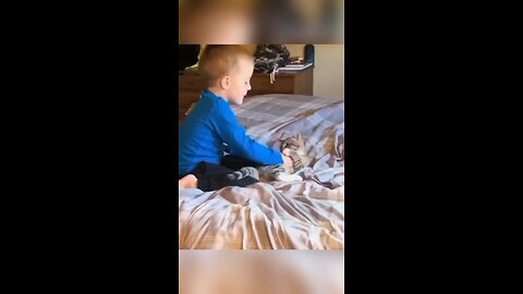 Cute Cats Playing with Baby☺