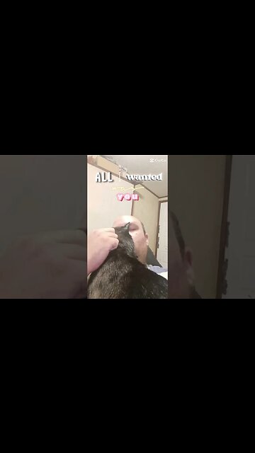 all kitty wanted #youtubeshorts #shortsvideo #shortsfeed #catlover #catshorts #cutekitty