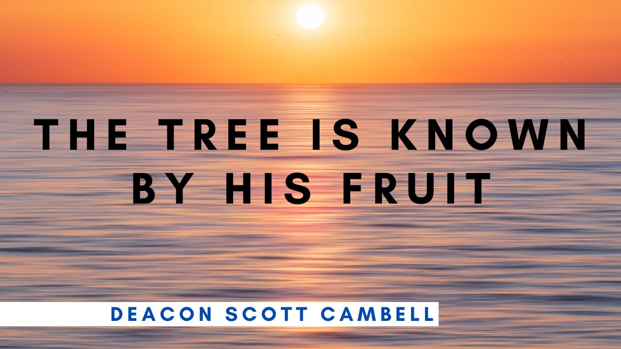 "The Tree Is Known By His Fruit" | Abiding Word Baptist