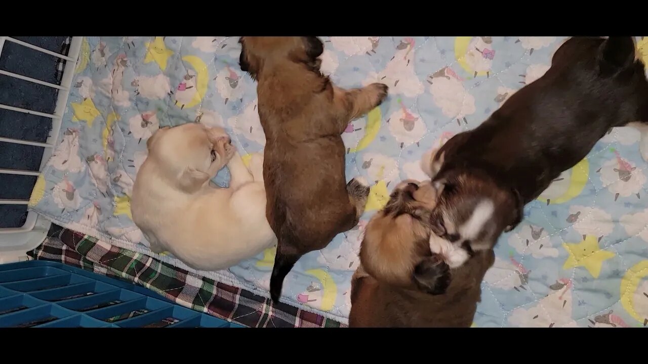 O Litter - Today. Yesterday. The Day Before (2)