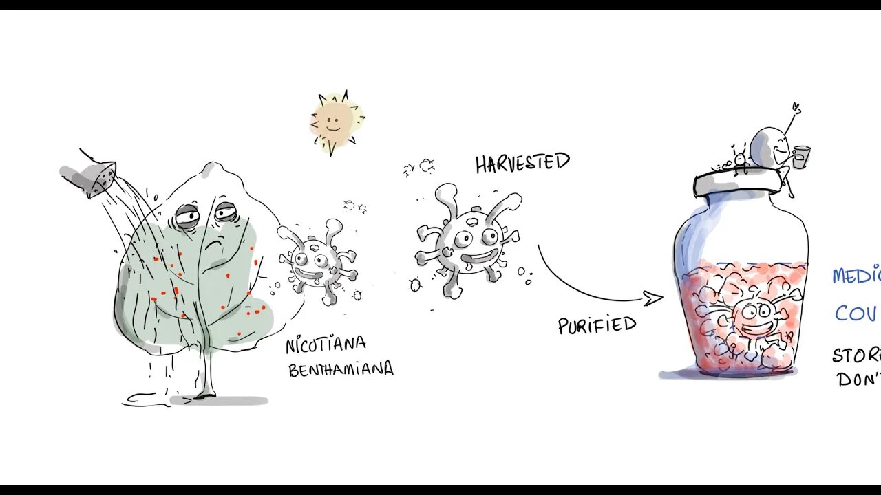 COVIFENZ from Medicago - A Plant Based Vaccine from Canada for COVID-19