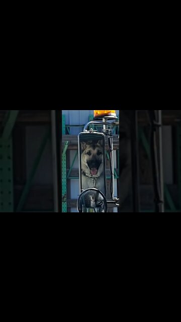 He thinks he's people