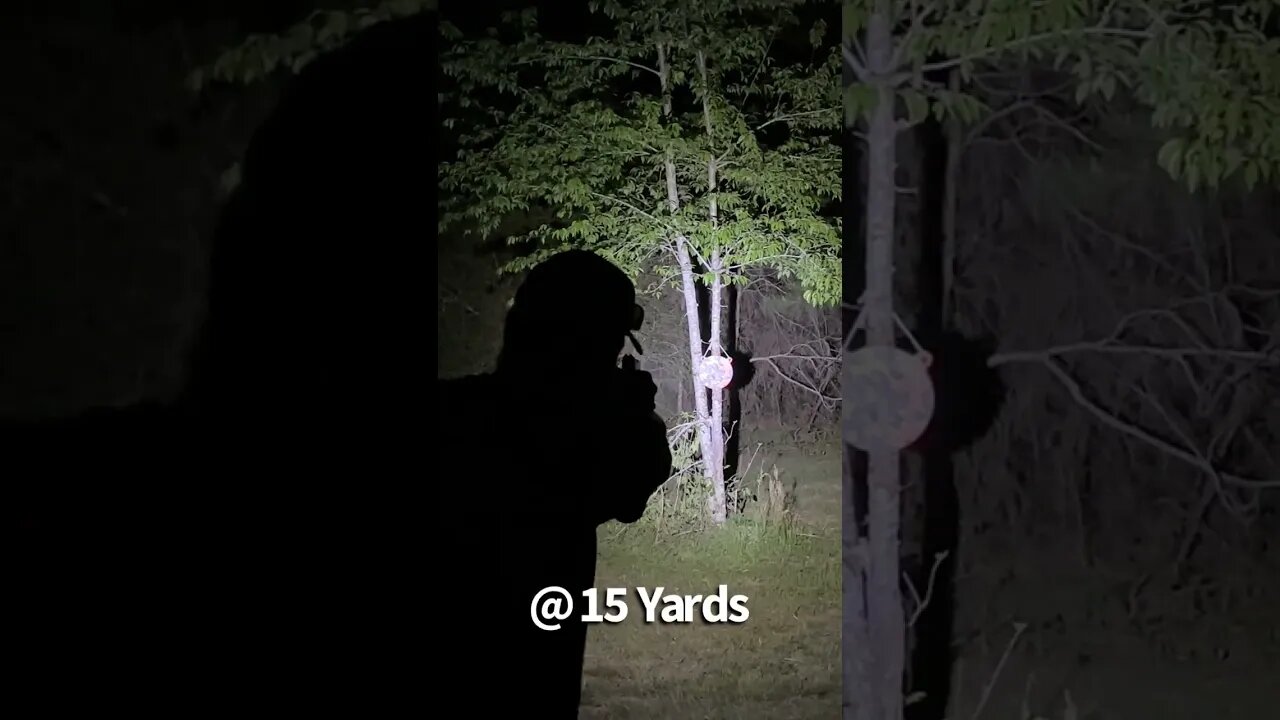 Shooting with a gun light in the dark: Best Budget Gun Light under $60? #shorts