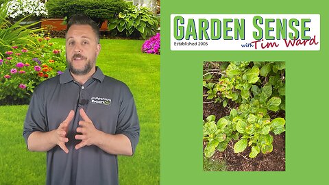 Garden Sense with Tim Ward - -5.29.24