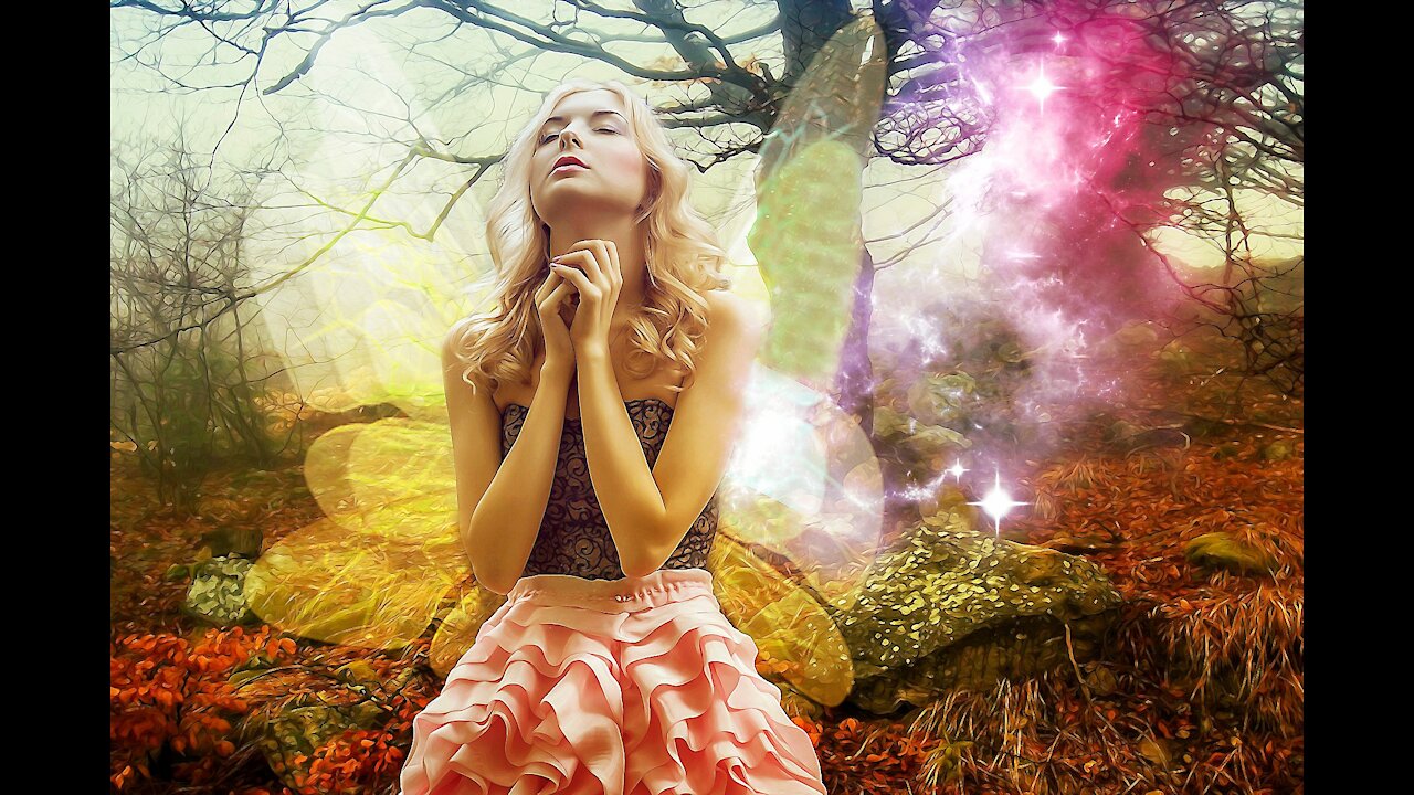 sound of raindrops in the forest to watch and meditate🎵