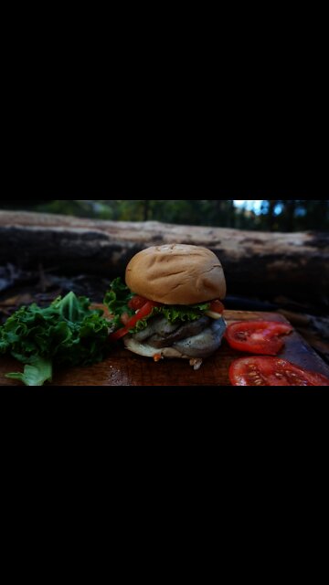 Lion's Mane Mushroom Sandwich Recipe. Foraging edible mushrooms and bushcraft cooking.