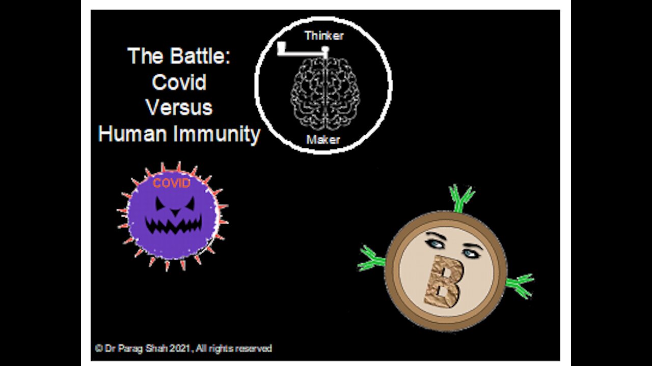 Covid Vaccines & You - How human immunity battles Covid