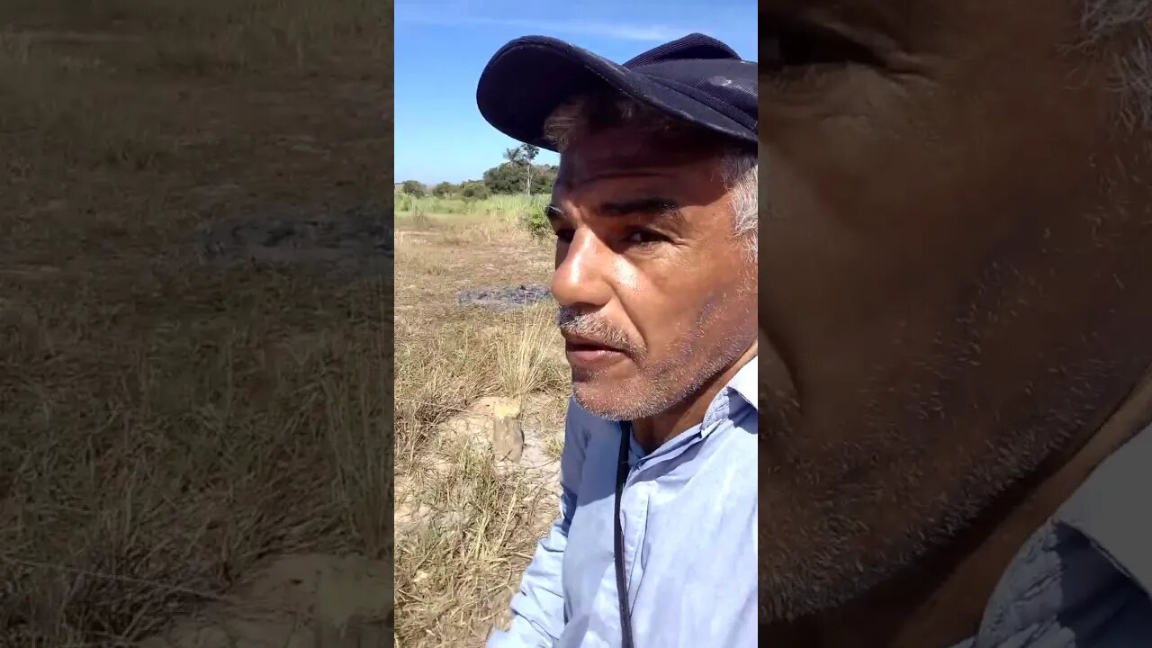 Quem puder repassar eu agradeço. urgente.