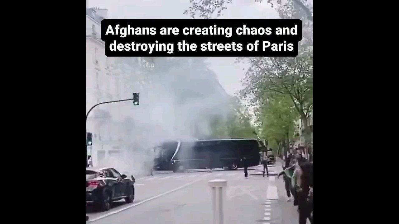 Afghans in France bringing cultural enrichment.