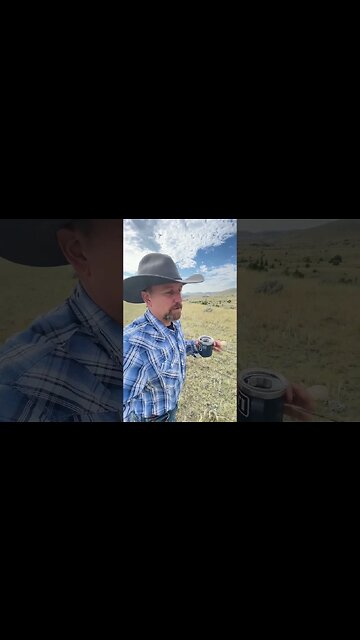 I’m Gonna Be a Beef Tasting Judge