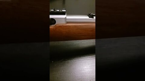 Ruger 10/22 International
