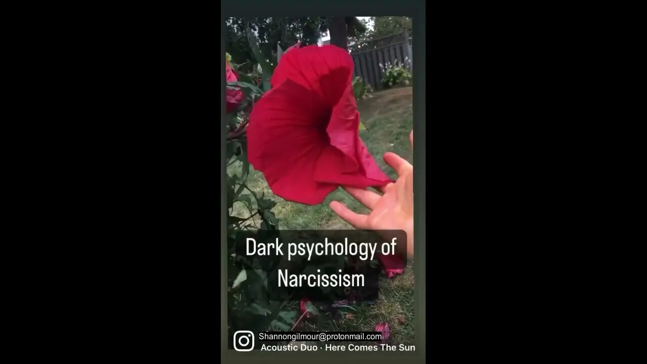 Dark Psychology of narcissism