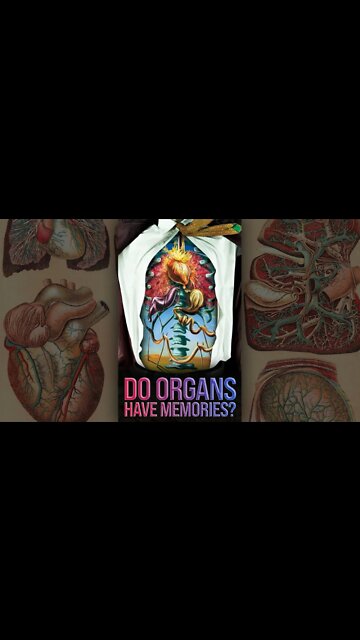 Do Organs Have Memories? 🤯 #shorts