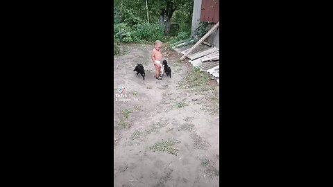 cute baby and puppies video 🤣🤣