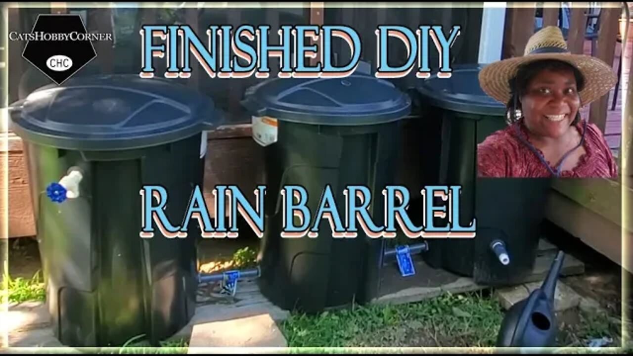 Rain Barrel Success - 17Jun2022