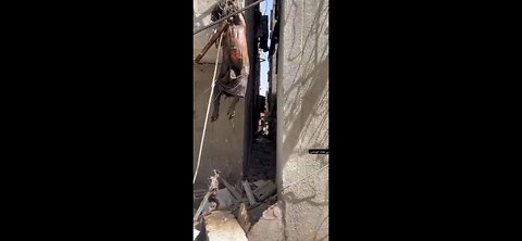 Israel is Nothing more than a Baby Killing Terror State...