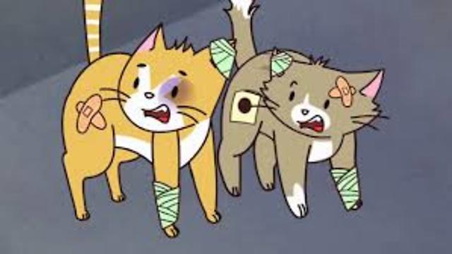 Sterilise Your Pet To Prevent Unwanted Litters