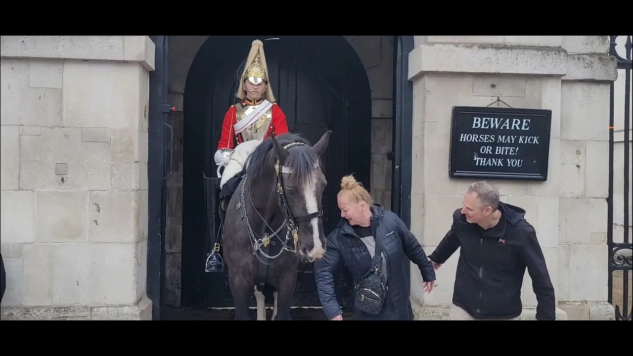Horse did ot want to let her go #horseguardsparade