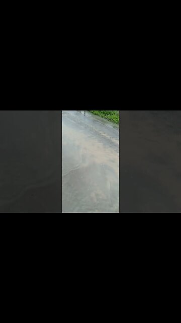 Olha o estado da nossa estrada, virou um pequeno rio! #shorts