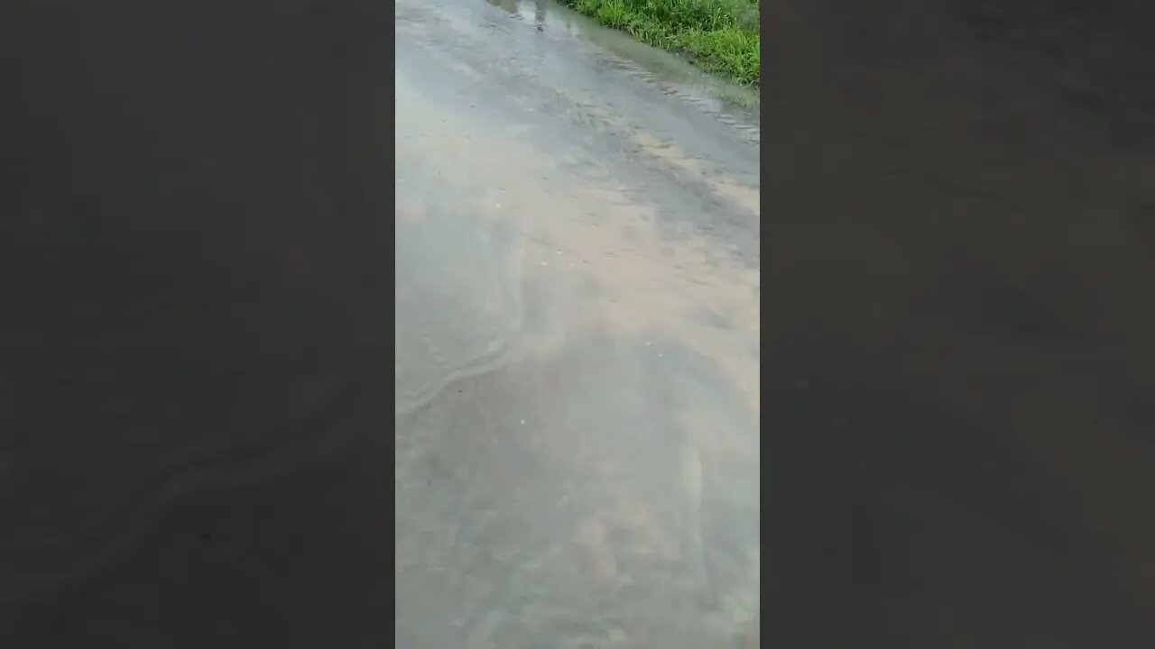 Olha o estado da nossa estrada, virou um pequeno rio! #shorts