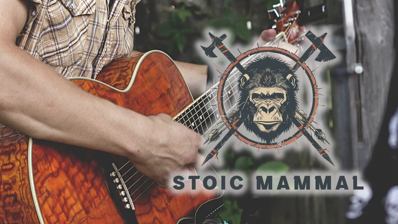 Stoic Mammal Presents Website Drop With Country Music Video