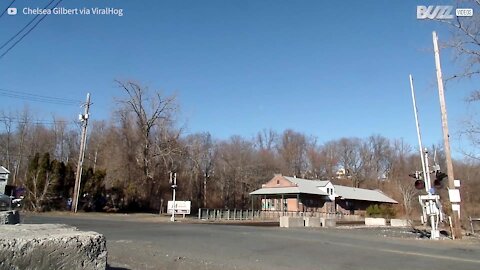 Ce chauffeur ignore les barrières sur la voie ferrée