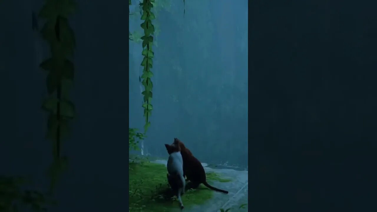 Stray Cat game Clip 3