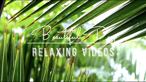 Relaxing Music - Stress Relief Music, Refresh Music, Calm Music, Sleep Music