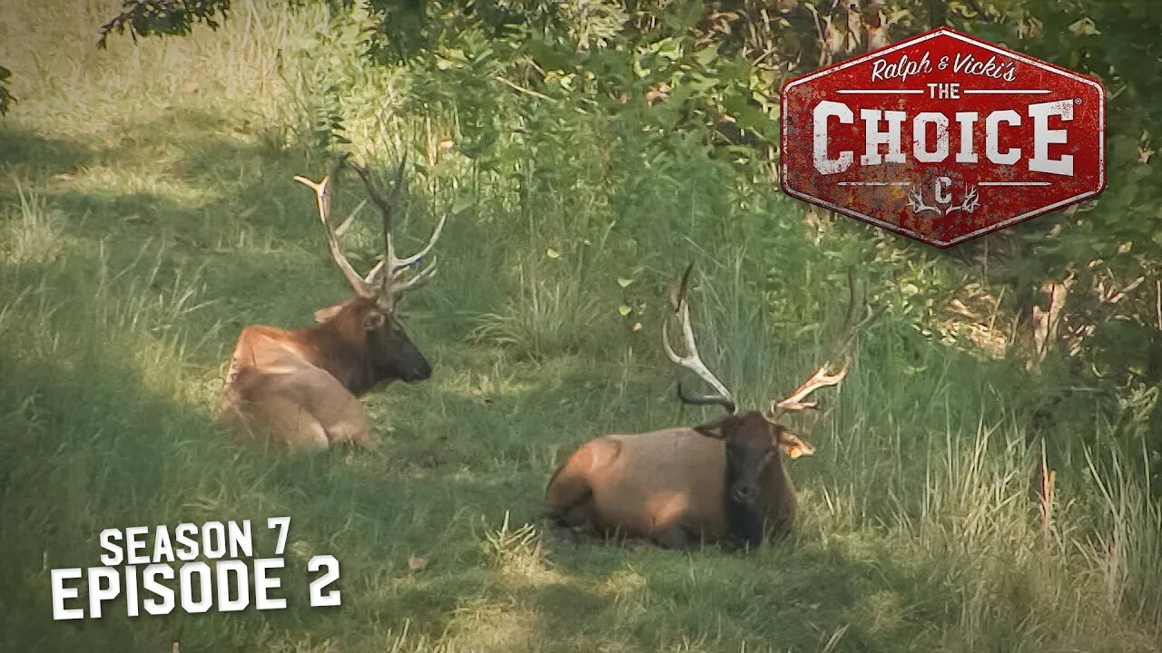 QUEST FOR ELK - The Choice (Full Episode) // S7: Episode 2