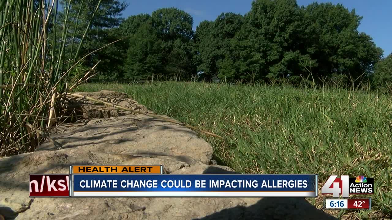 Climate change could be impacting allergies