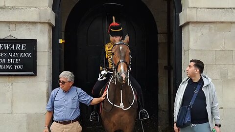 Not you the other tourist Don't touch the reins #horseguardsparade