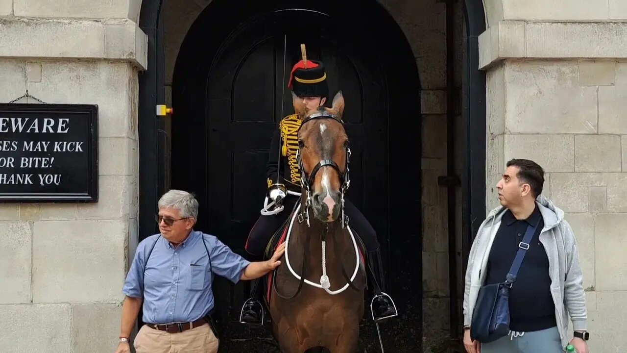 Not you the other tourist Don't touch the reins #horseguardsparade