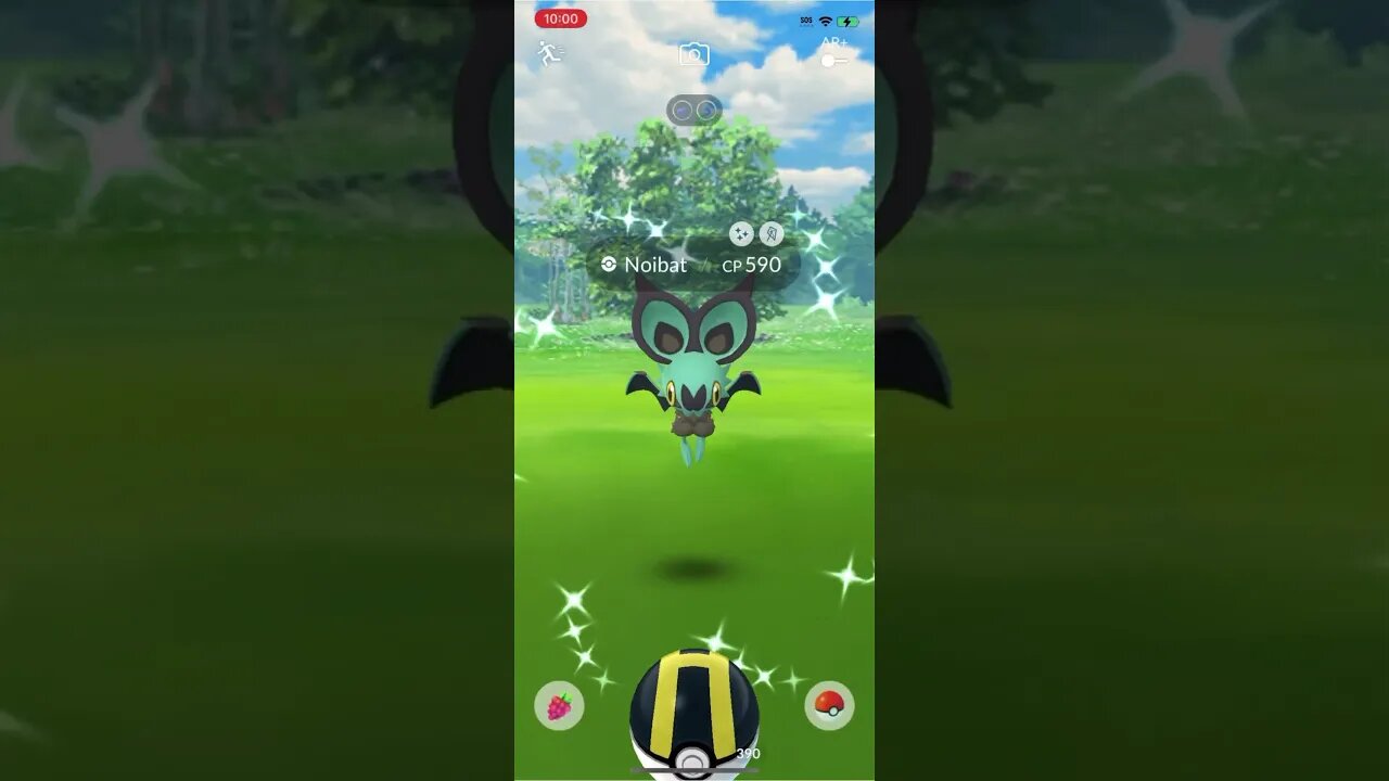 Shiny Compilation