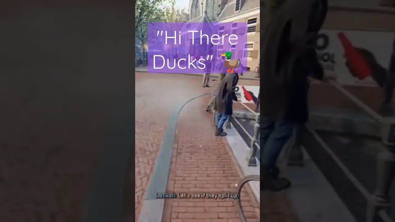 "Hi There Ducks"