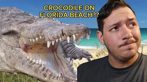 American Crocodiles Moving North in Florida??