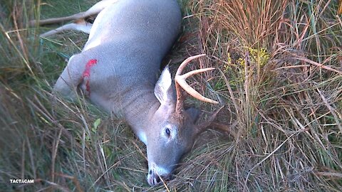 Short Video: First Morning Hunt In Ohio - Broken Stand Turns Into Success