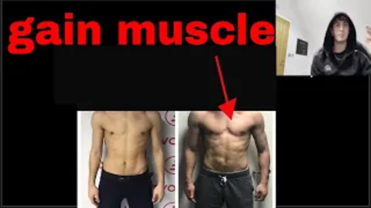 How To Gain Muscle (Bulk Guide) #selfimprovement #magz #gym