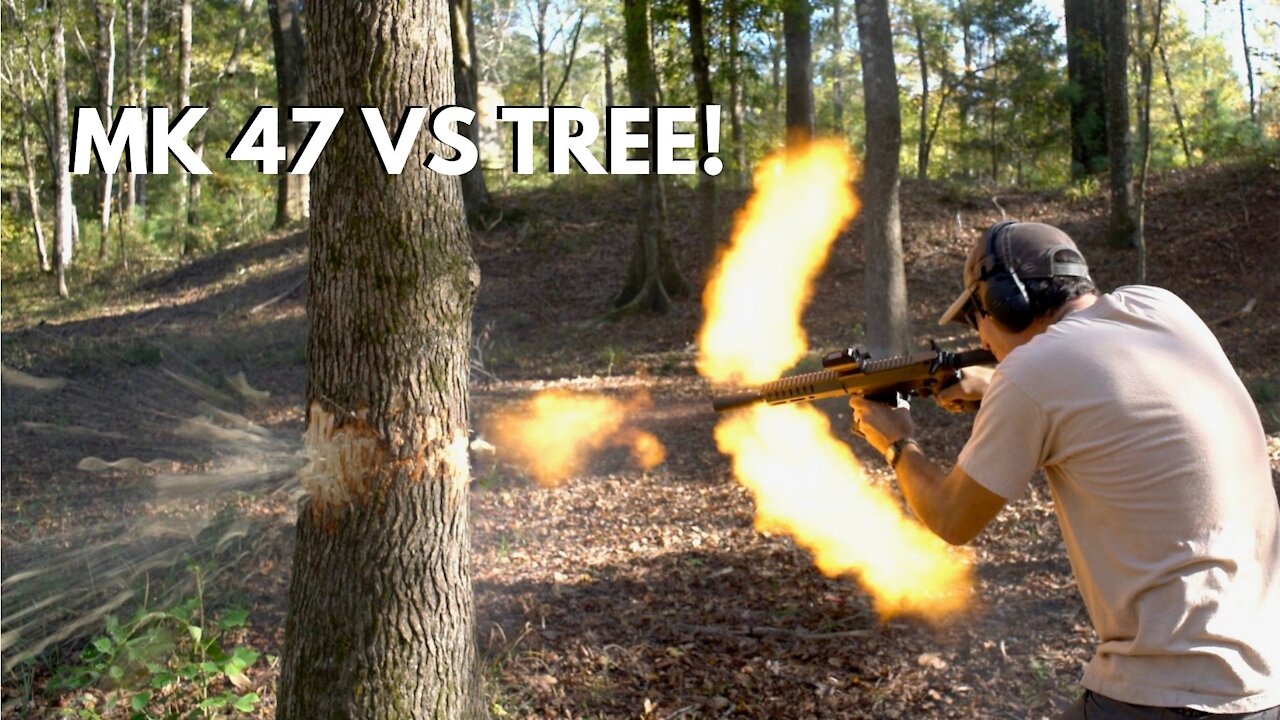 Shooting Down a Tree with a MK47