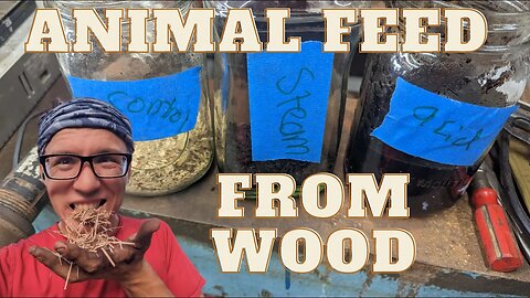 Making animal feed from wood chips experiment