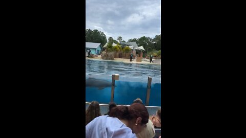 Sea World