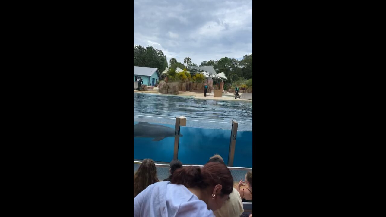 Sea World